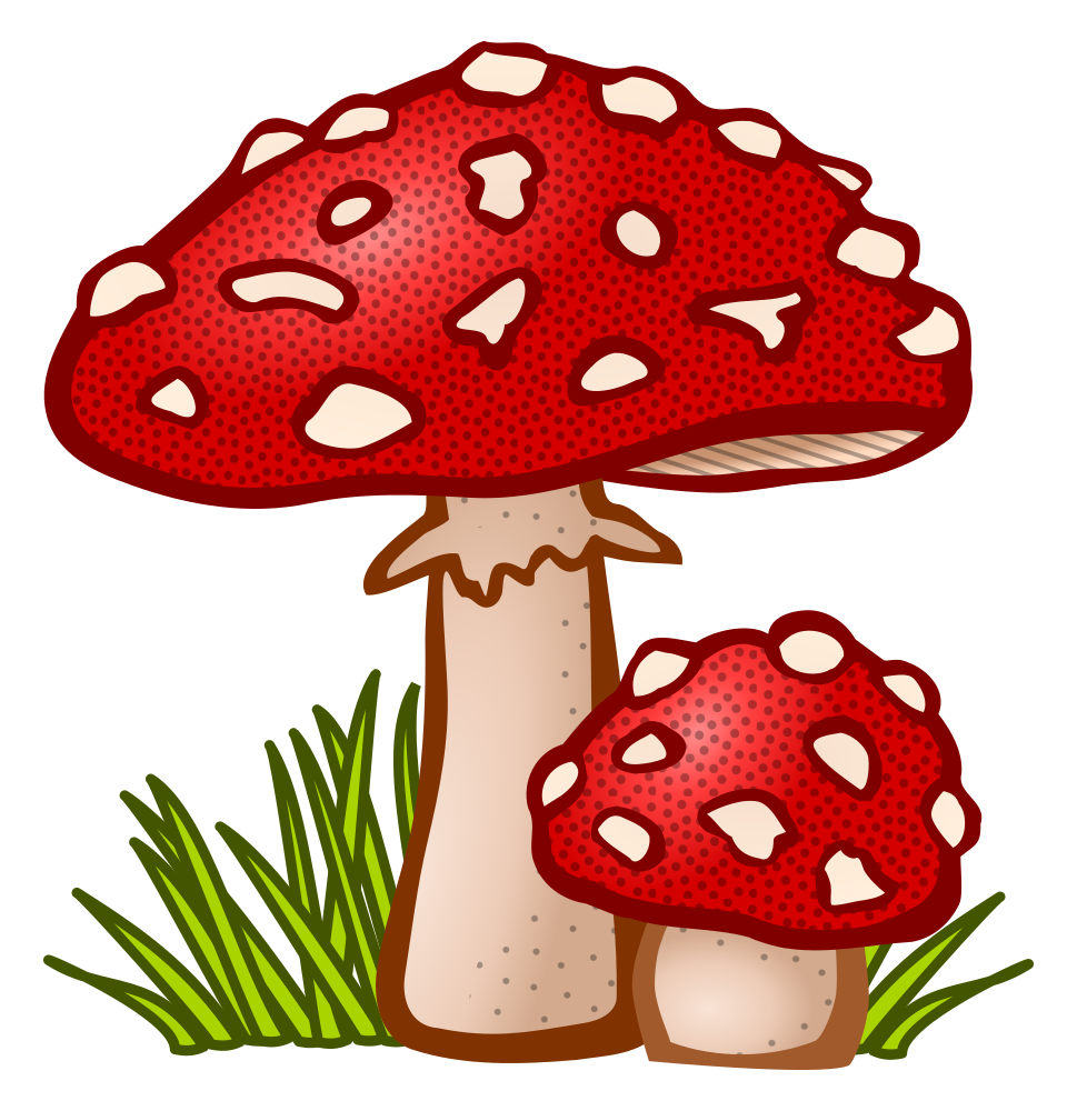 Onlinelabels Clip Art Toadstool Coloured 2482